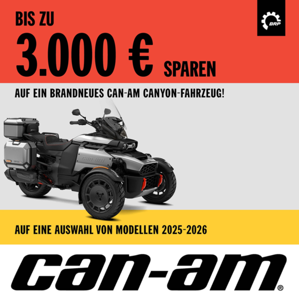 Canyon Aktion 3000-